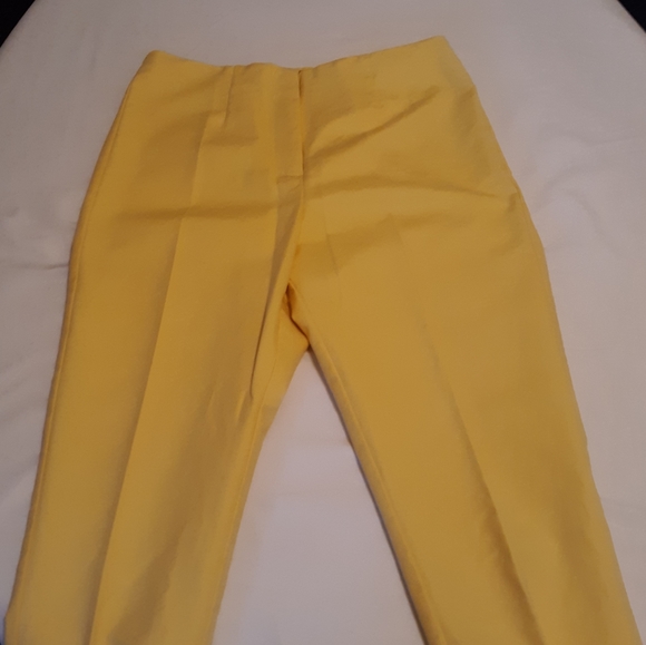 Investments Women's Size 8 Cropped Capris Pants - Picture 4 of 7